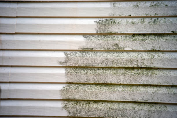 Best Moving and Downsizing Cleanouts  in Louisiana, MO